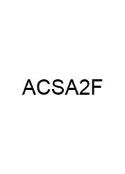 Ap Computer Science A 2024 Frq