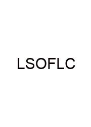 Launching Stage Of Family Life Cycle