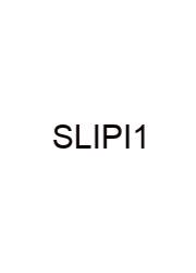 Single Live Intrauterine Pregnancy Icd 10