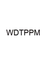 Who Developed The Plum Pudding Model